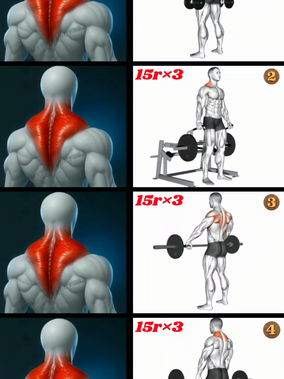 @HOMEWORKOUT