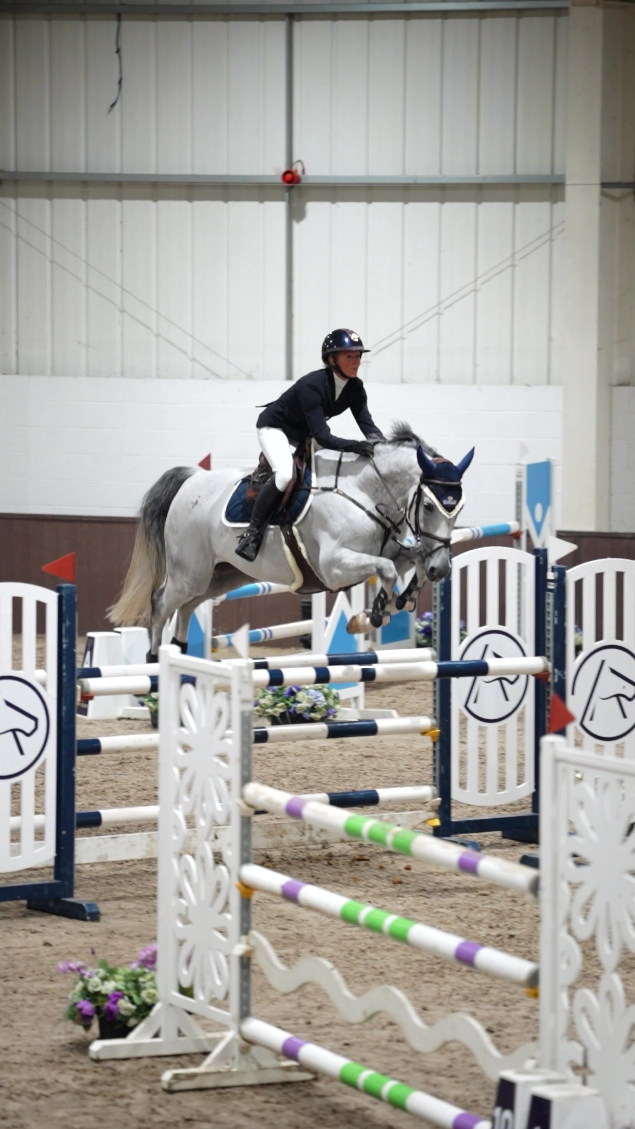 @Lucy Struthers Horses