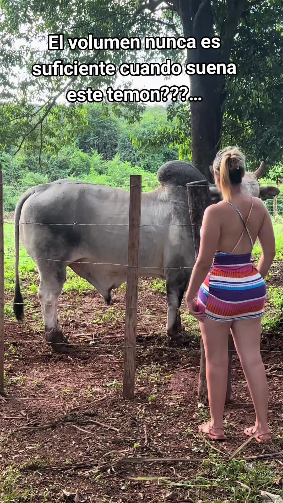 @🦋🌾Vida de Campo 🦋🌾