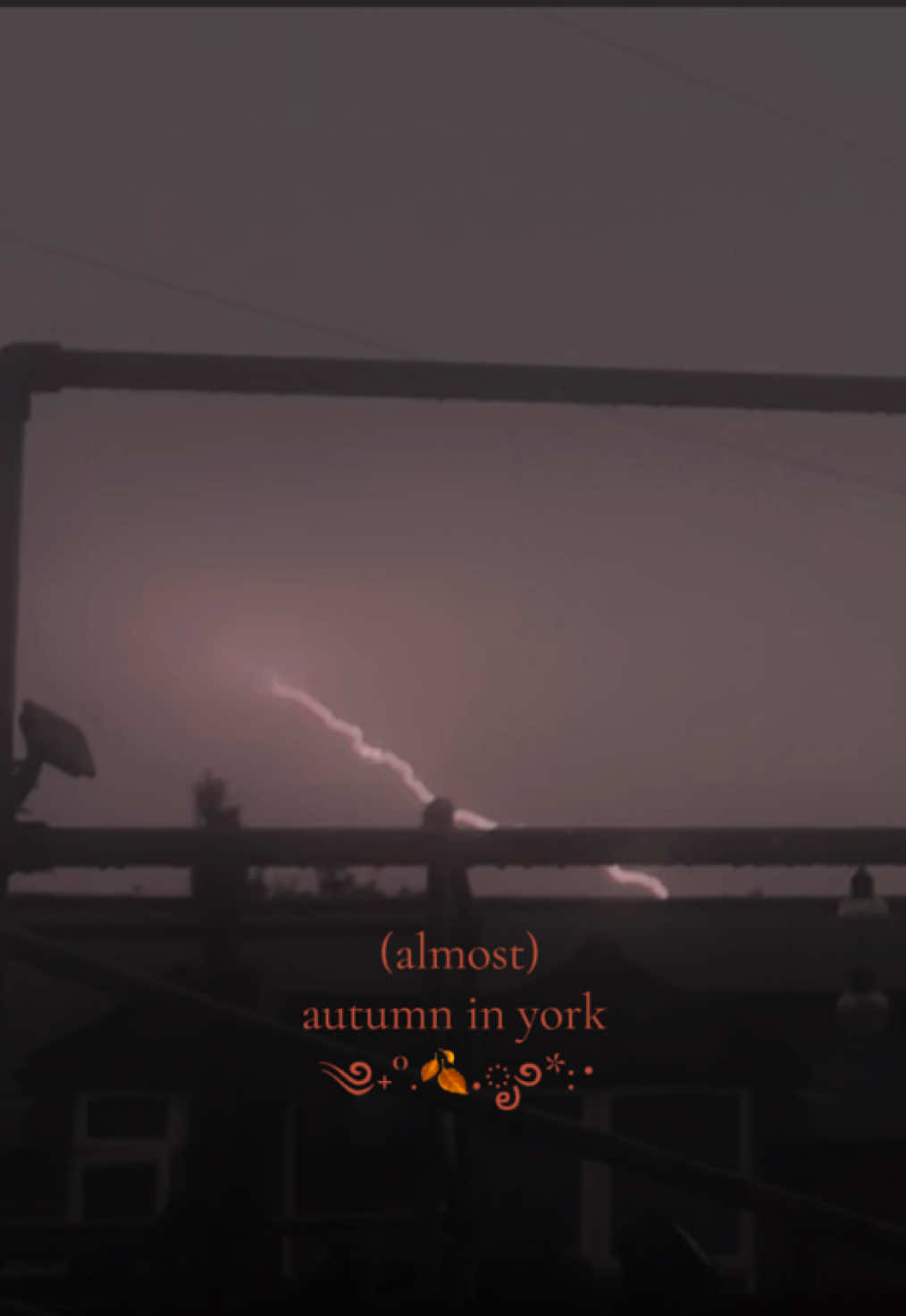 @𓋹 𝔈𝔩𝔩𝔞 𓋹