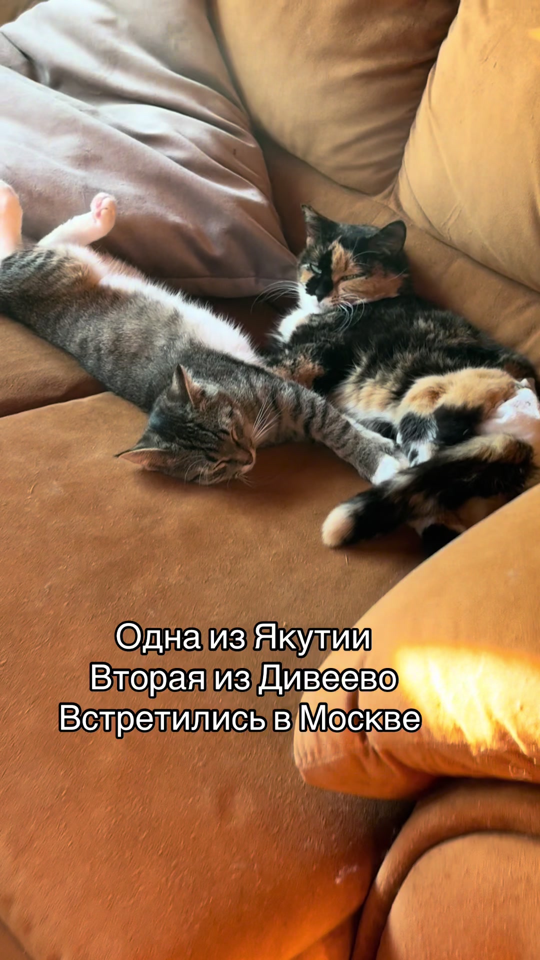 @Анна Алмазова