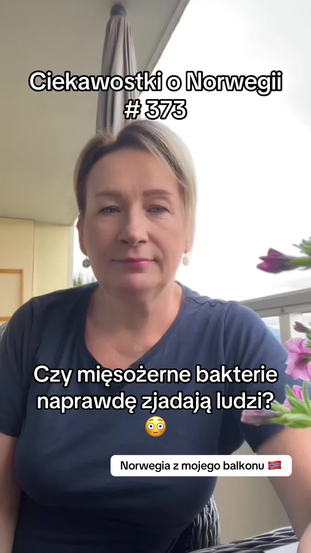 @ciekawostkionorwegii