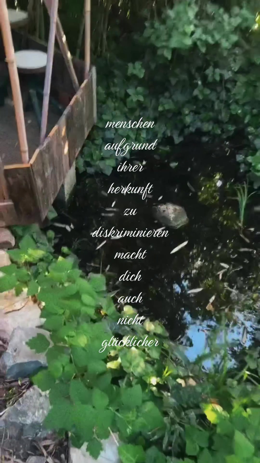 @⁺‧₊˚ ཐི⋆♱⋆ཋྀ ˚₊‧⁺