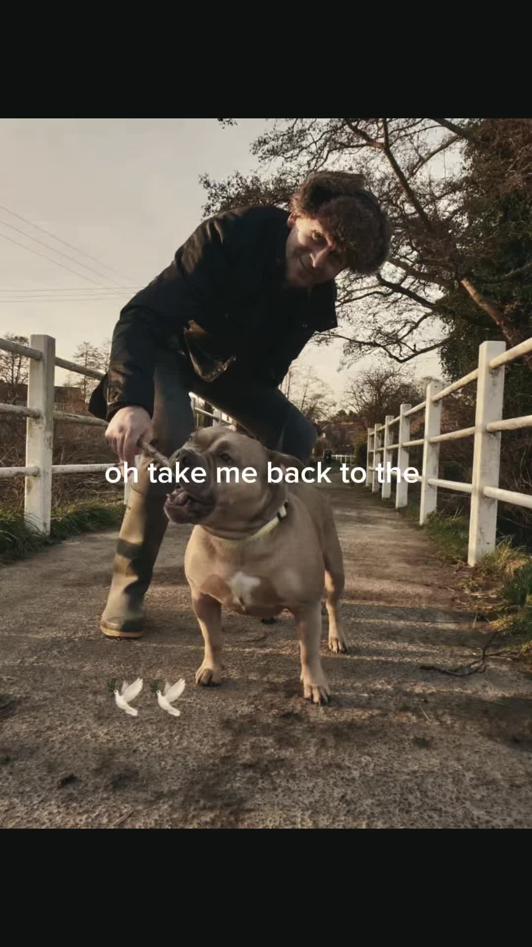 @aly🦇