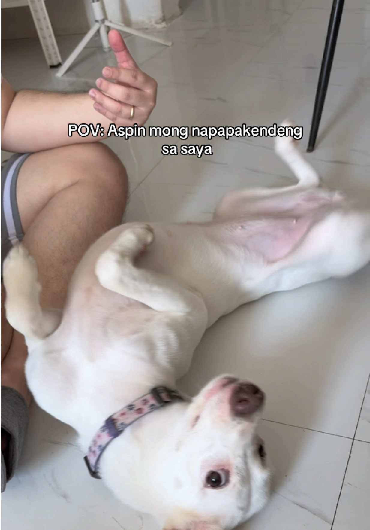 @cammydudels