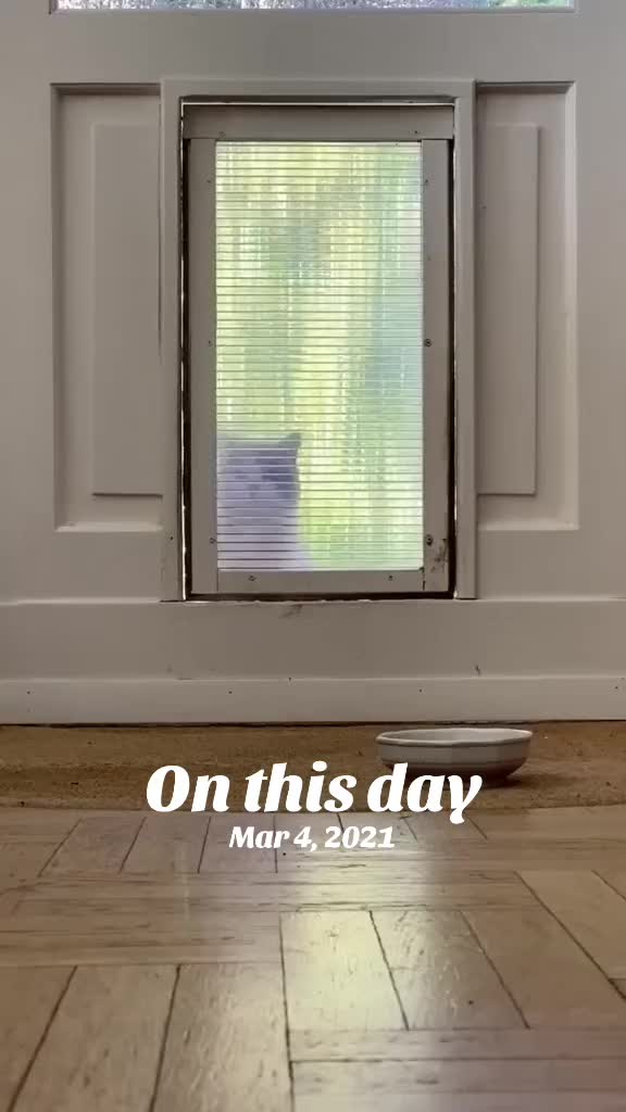 @Weimaranza