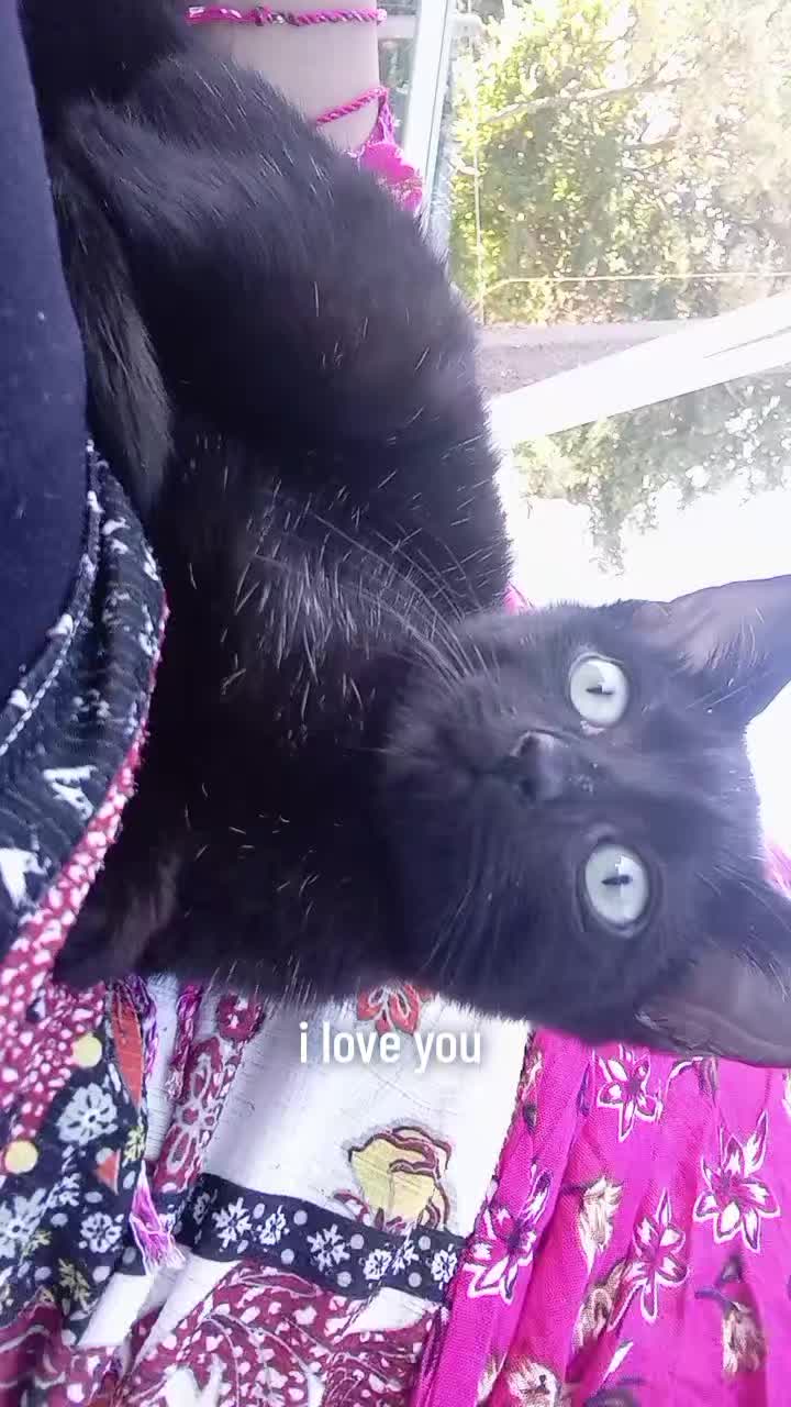 @🌸😊❤️
