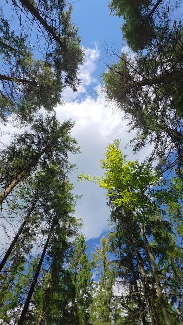 @mheankepplinger