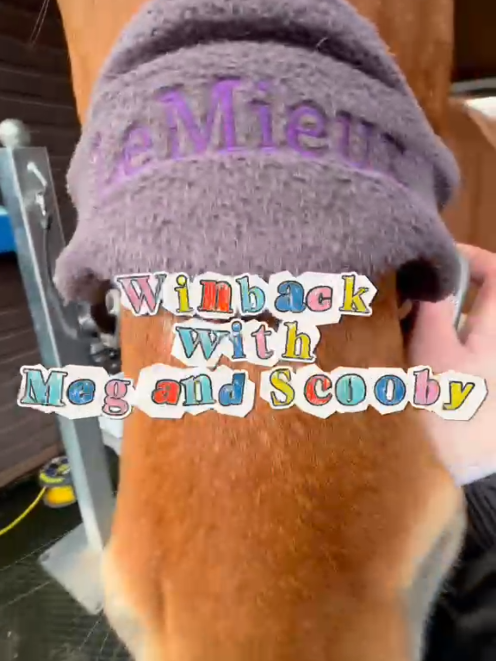 @Rookery Equine