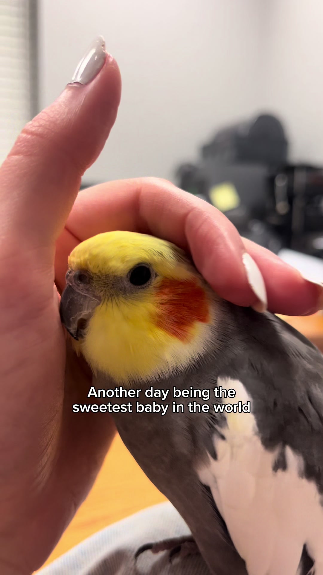 @Emery The Branch Manager