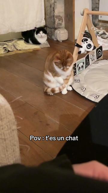 @chloelefbvre