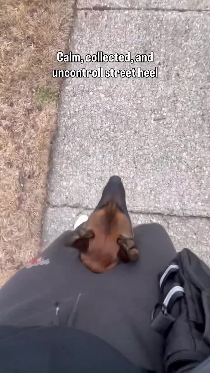 @Zara & Hailey