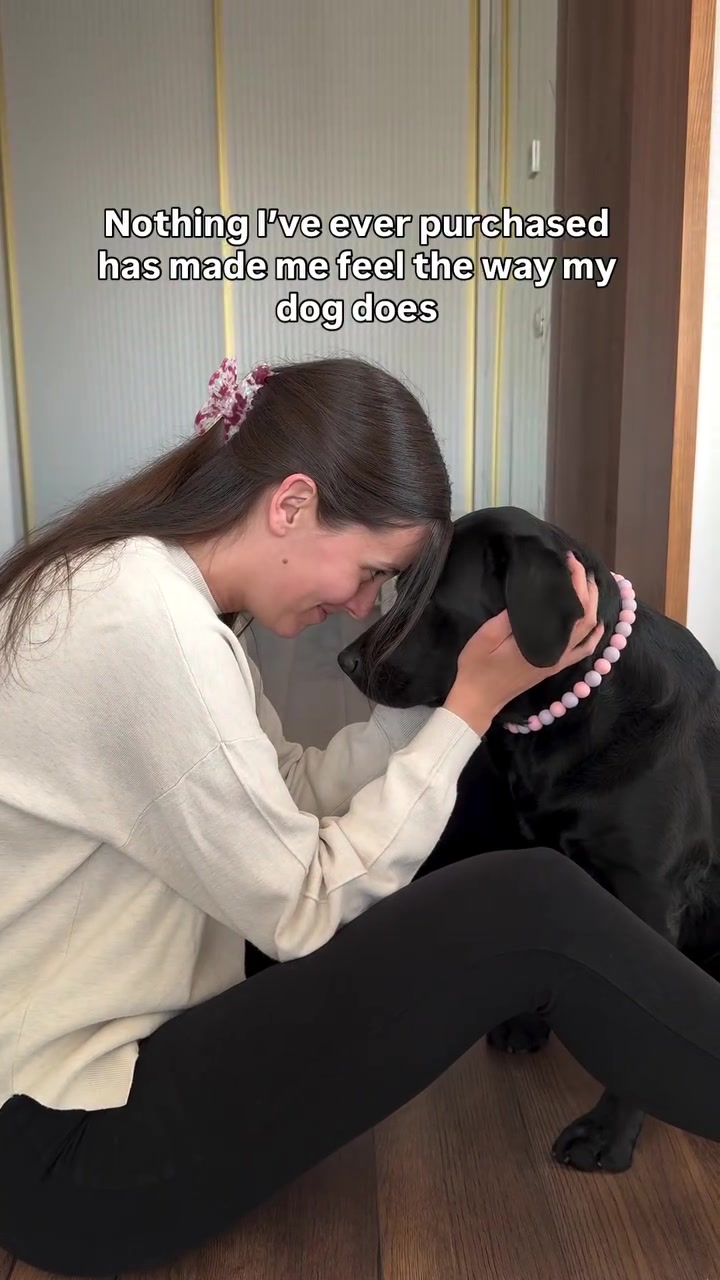 @lisatheblacklab
