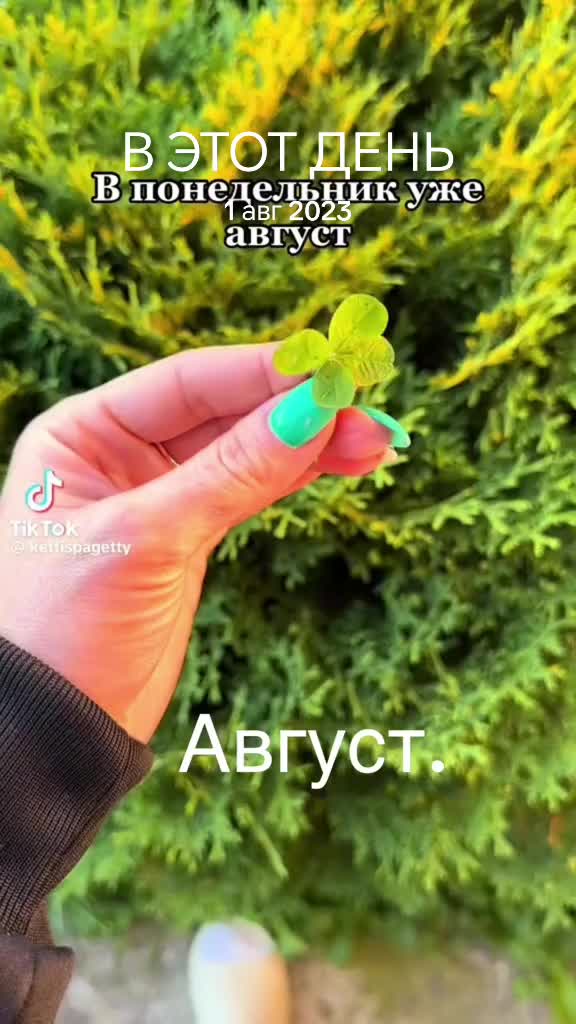 @Аселькин