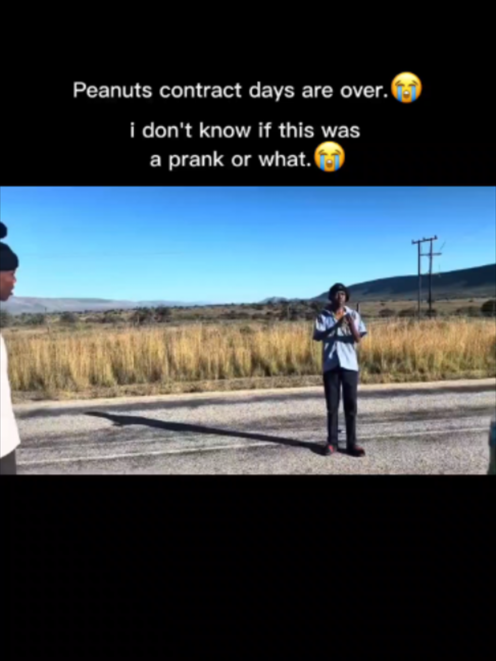 @vxkirk