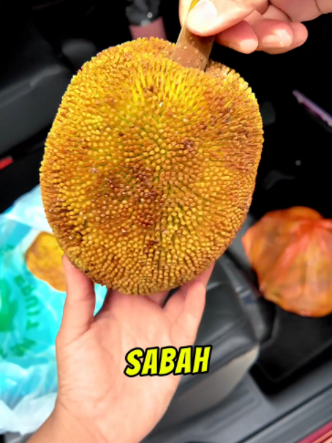 @KilatKilau