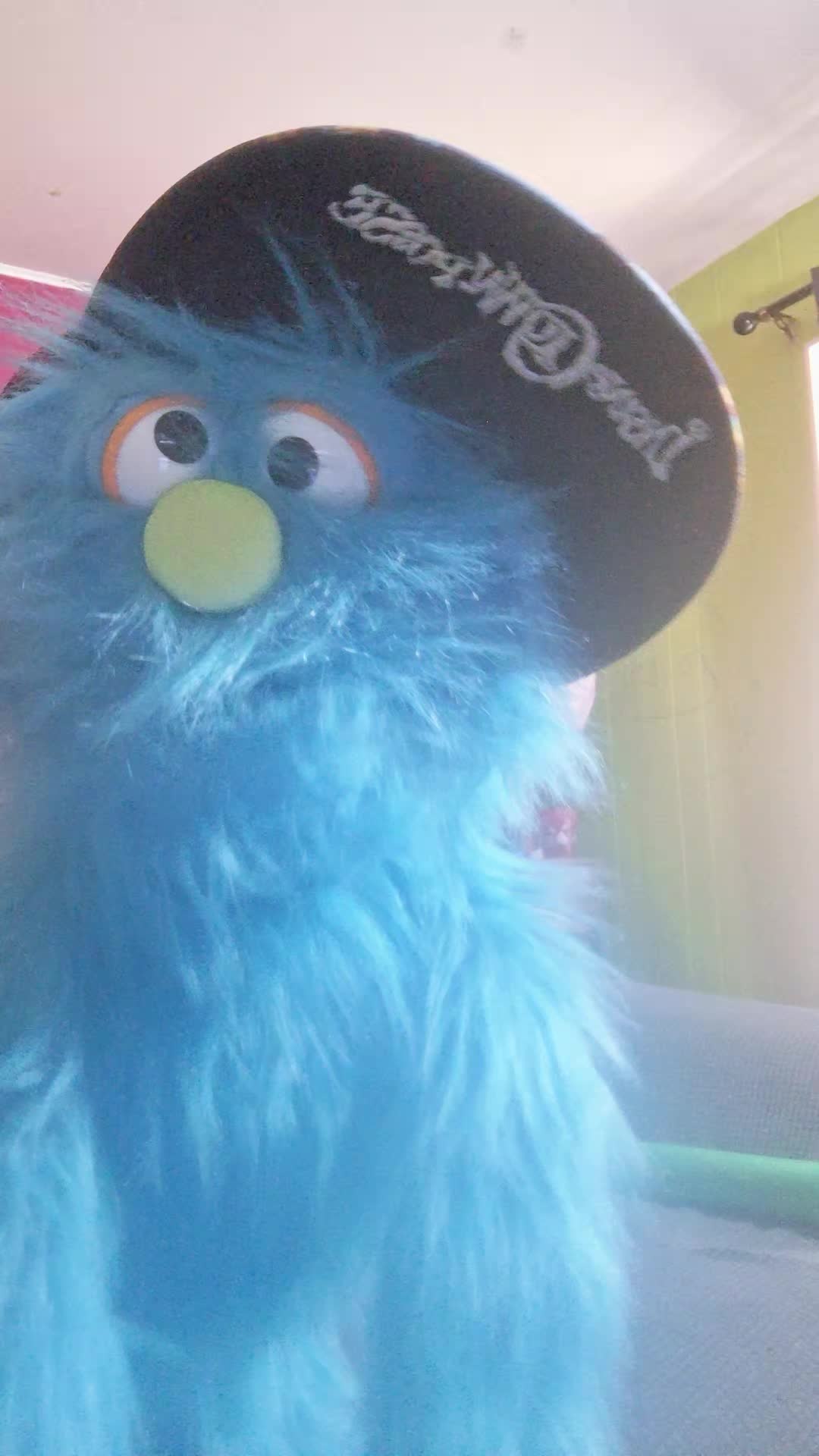 @💙pickelrick/ juggalo Muppet💙