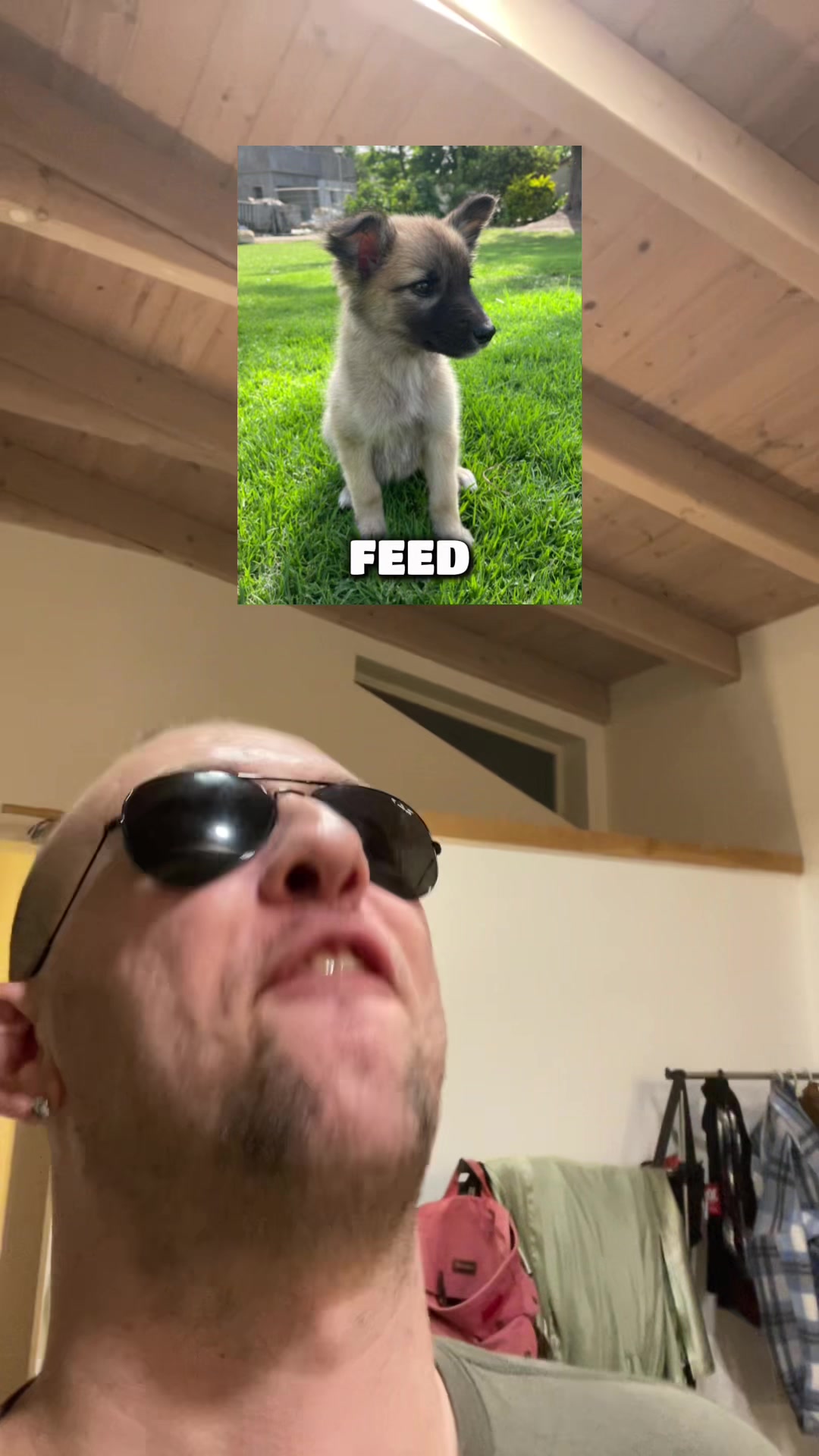 @Fenrir