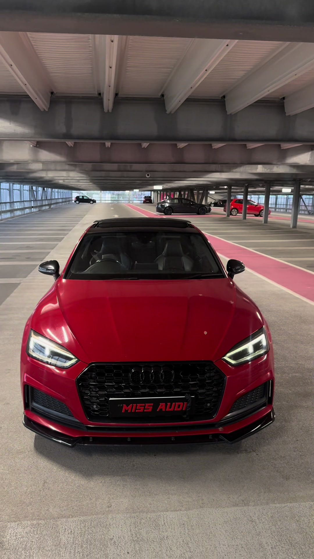 @Miss Audi