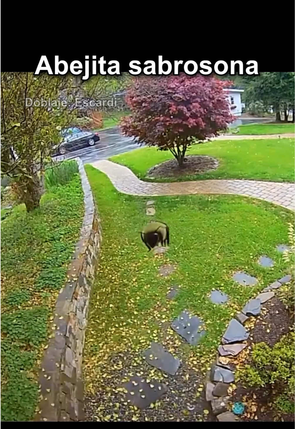 @Escardi