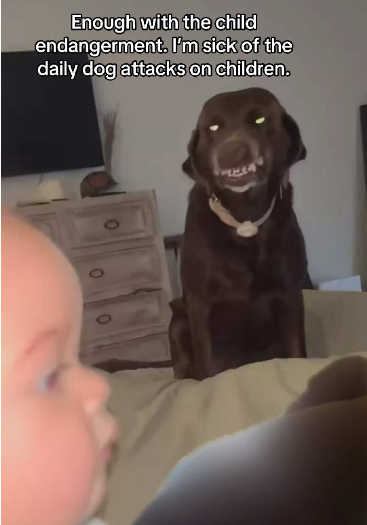 @Dogs aren&rsquo;t Family