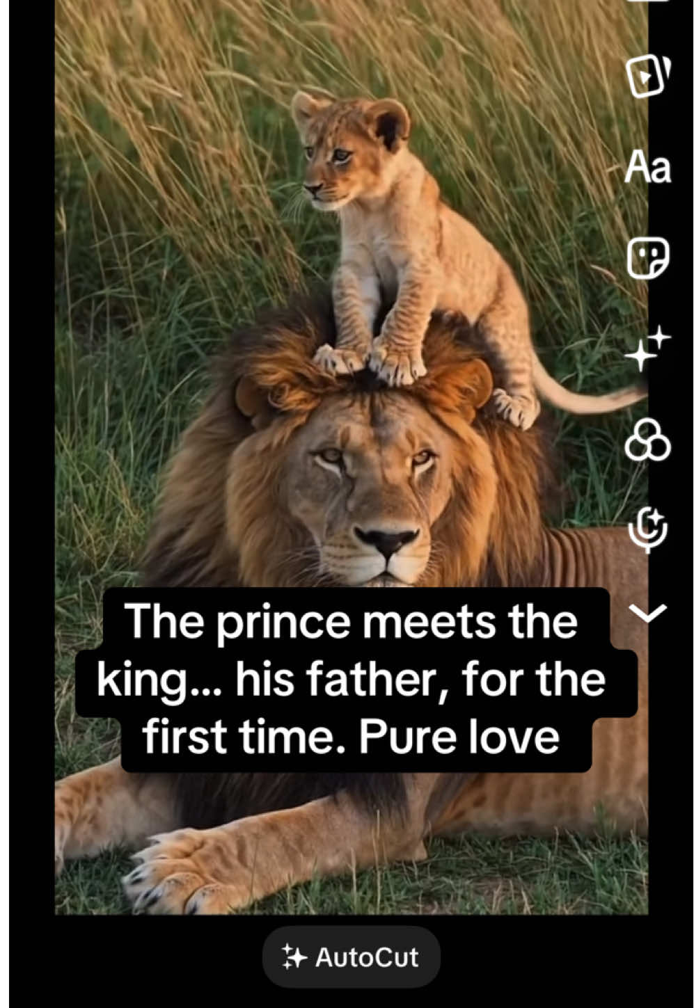 @KJ@LoveAnimalsEpicNature