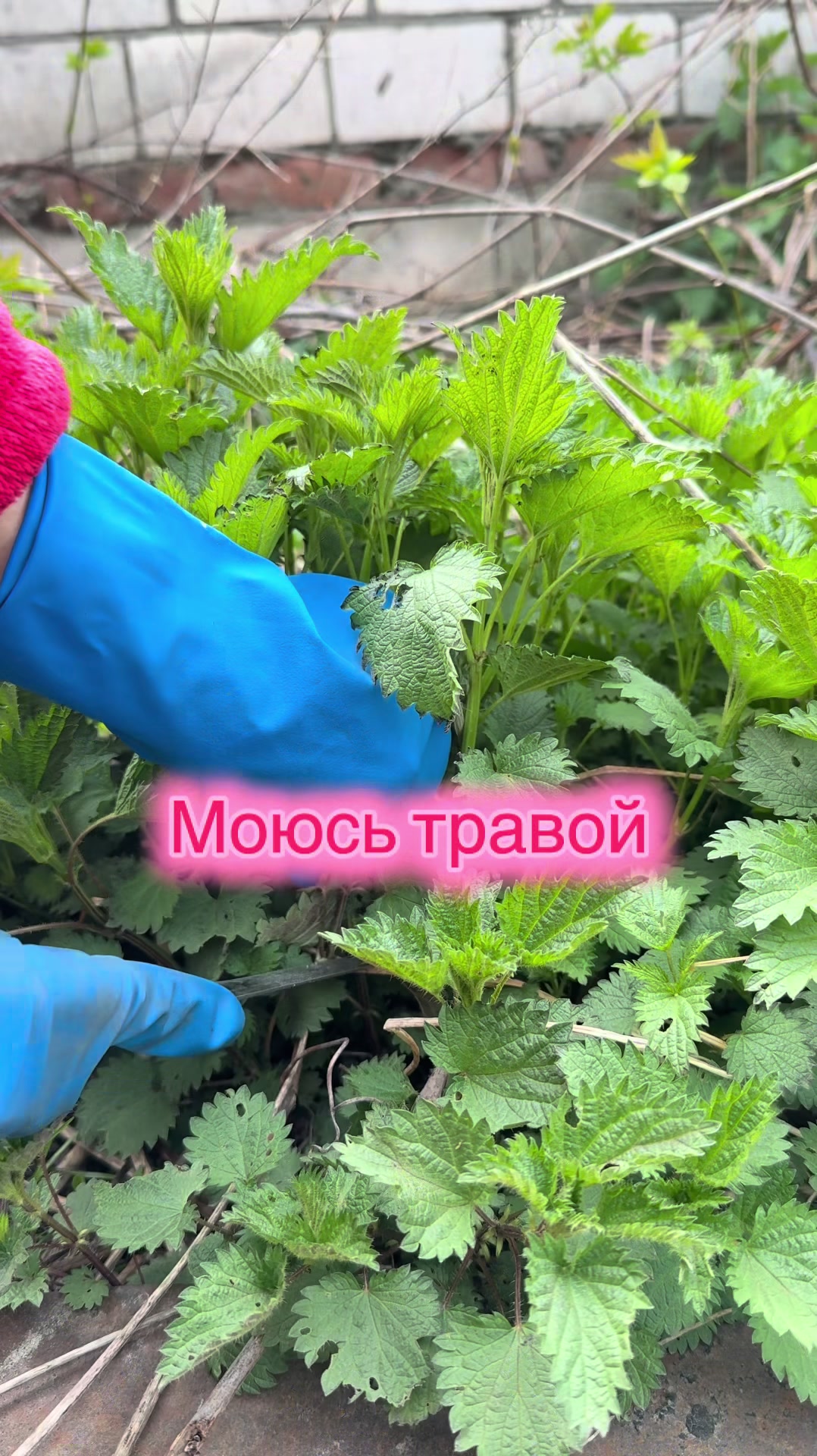 @Masha_Enina2003