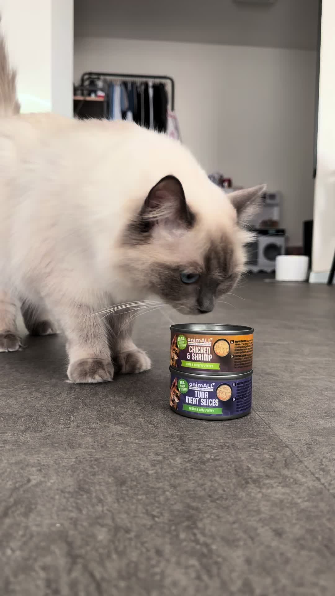 @animall_cz