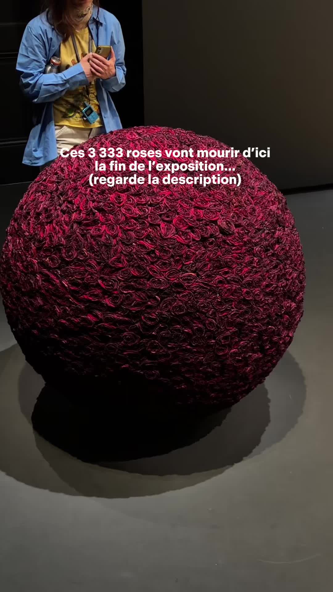 @raphael.ft