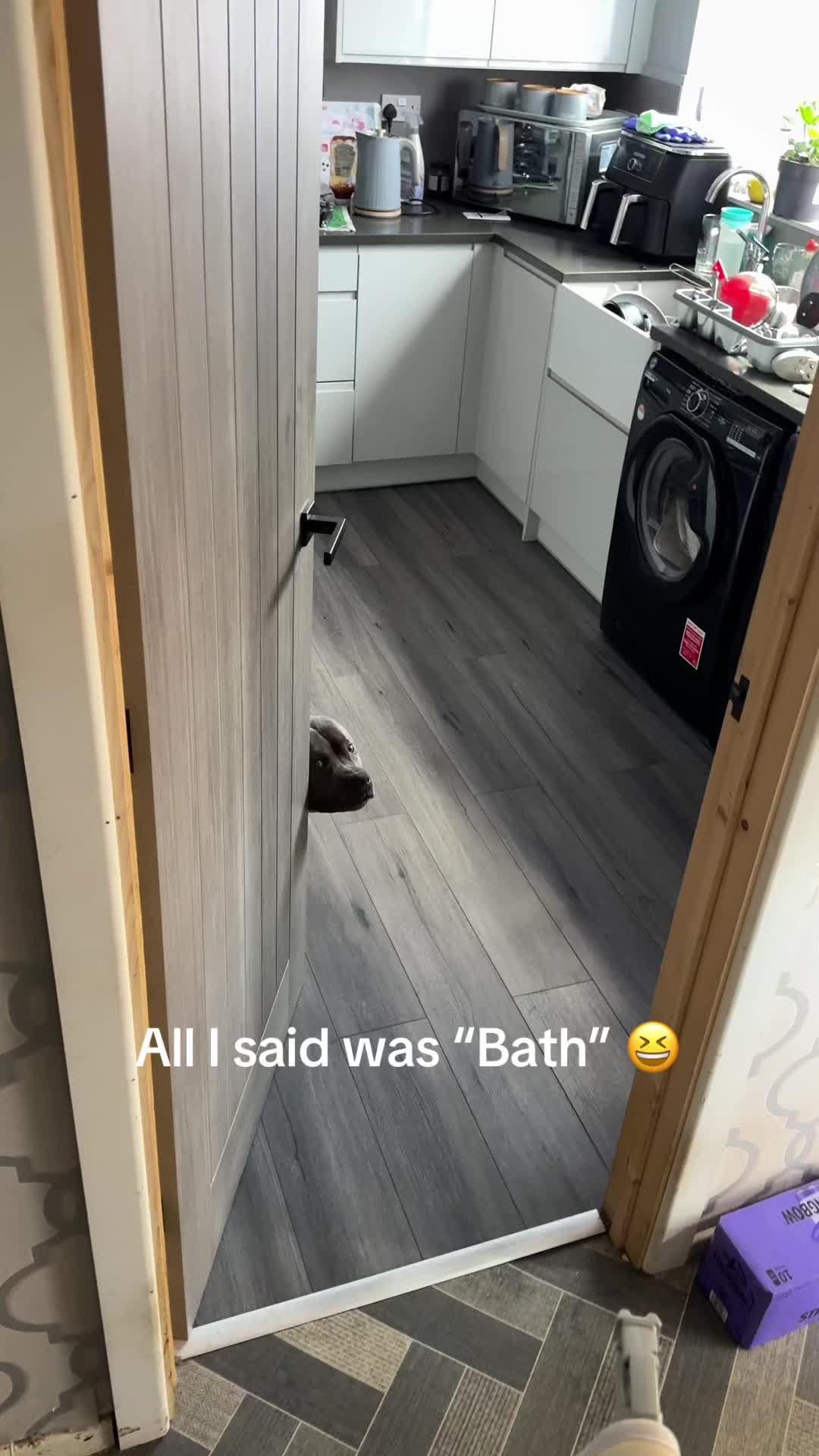 @jaegerstaffy