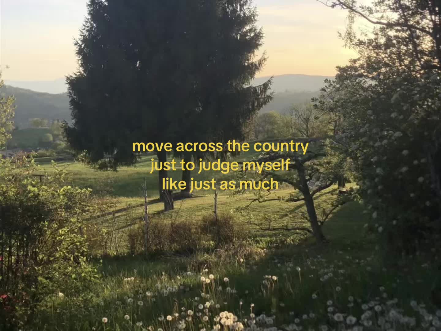 @⭐️