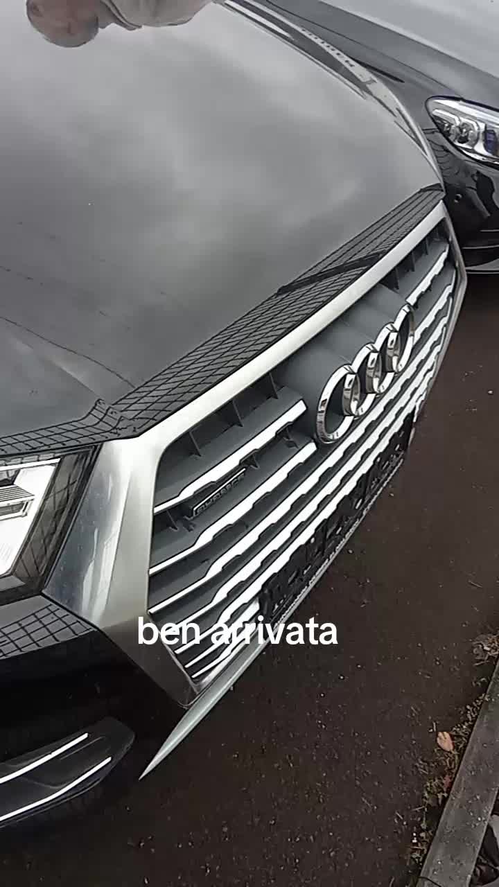 @castorina123588