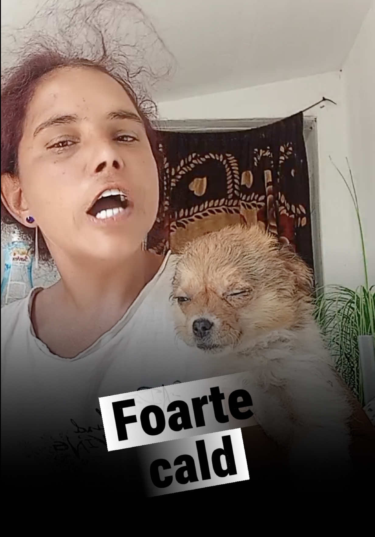 @daebator
