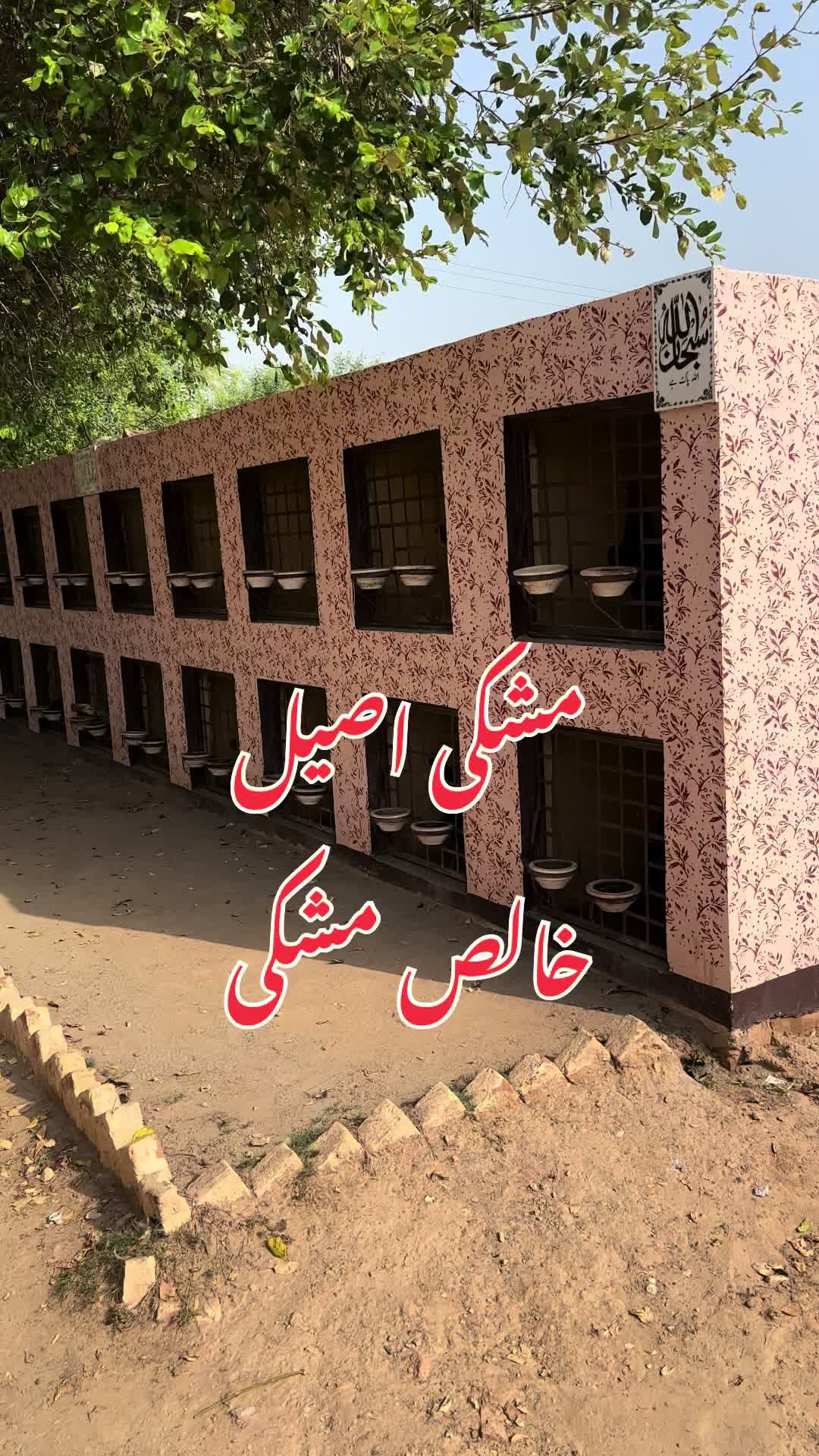 @Poultry Markaz