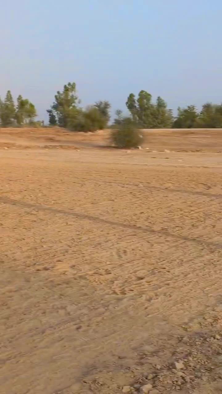 @𝑩𝒓𝒂𝒏𝒅 𝑱𝒖𝒕_73