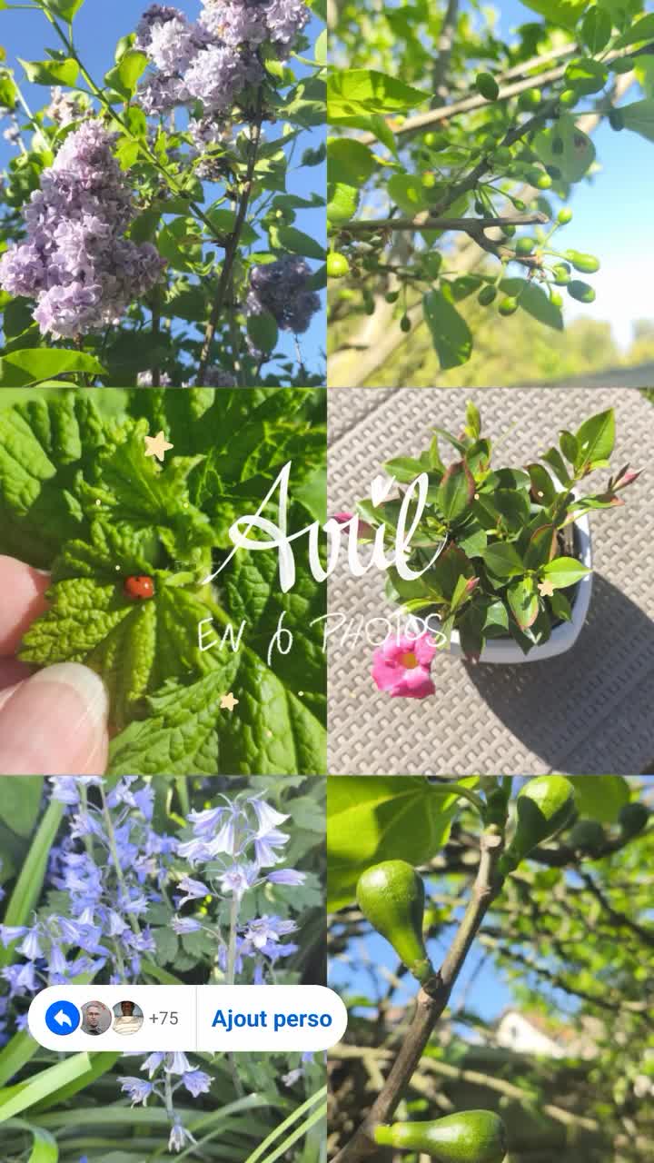 @Kate.line.crea