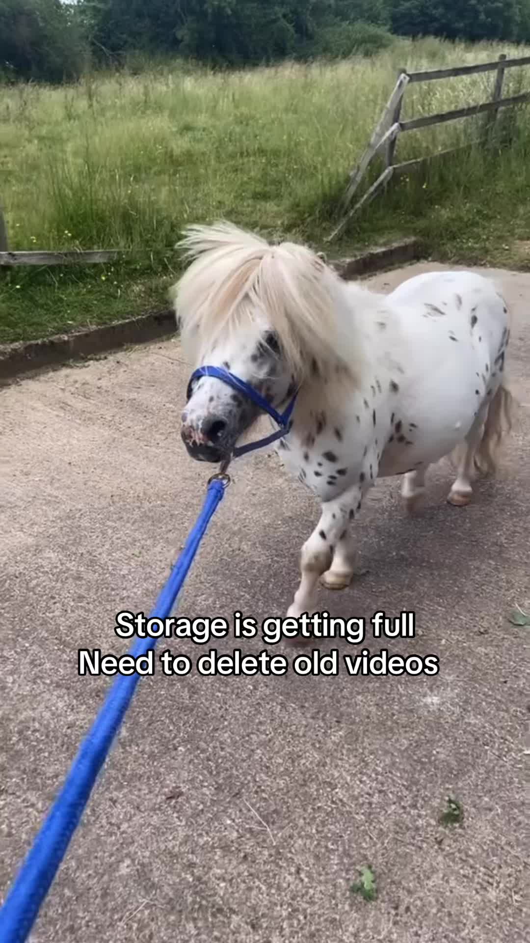 @⃟