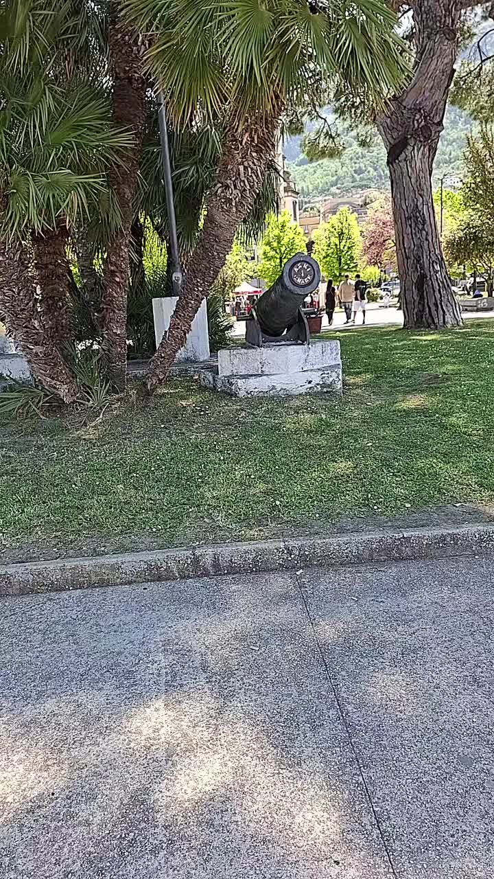 @francasferrasigno