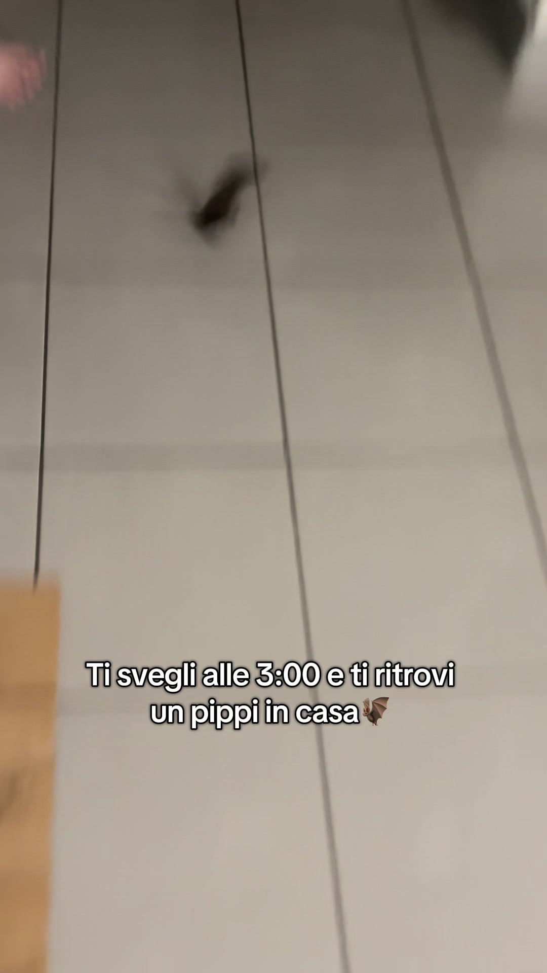 @Martina