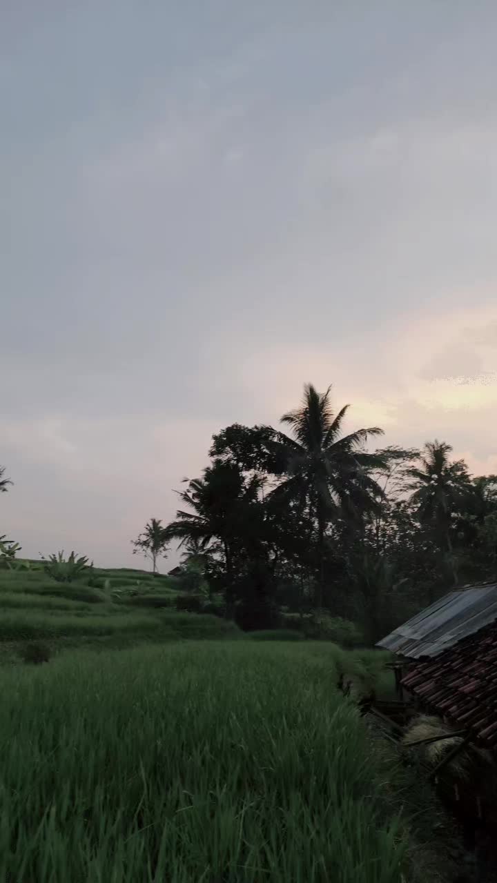 @S U H E