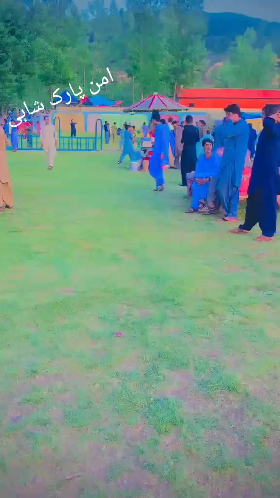 @ncpcarlover1