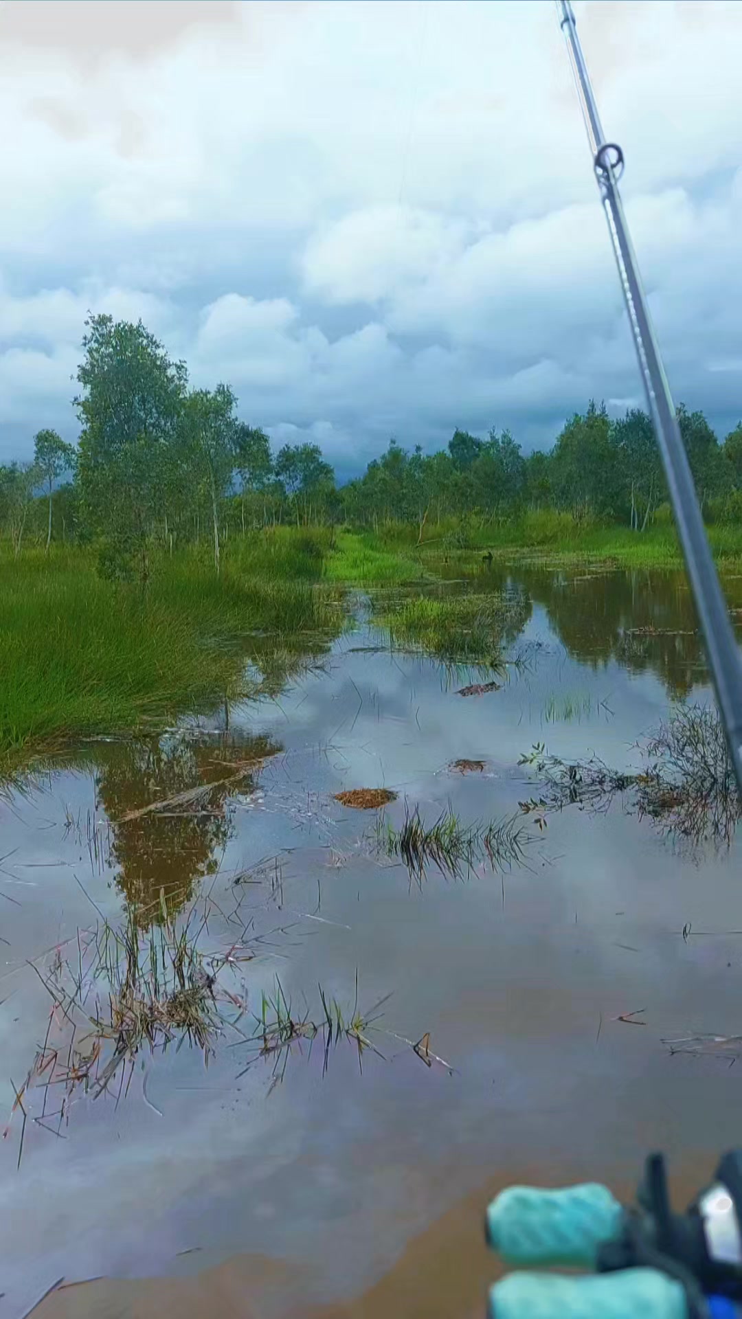 @TungFishing