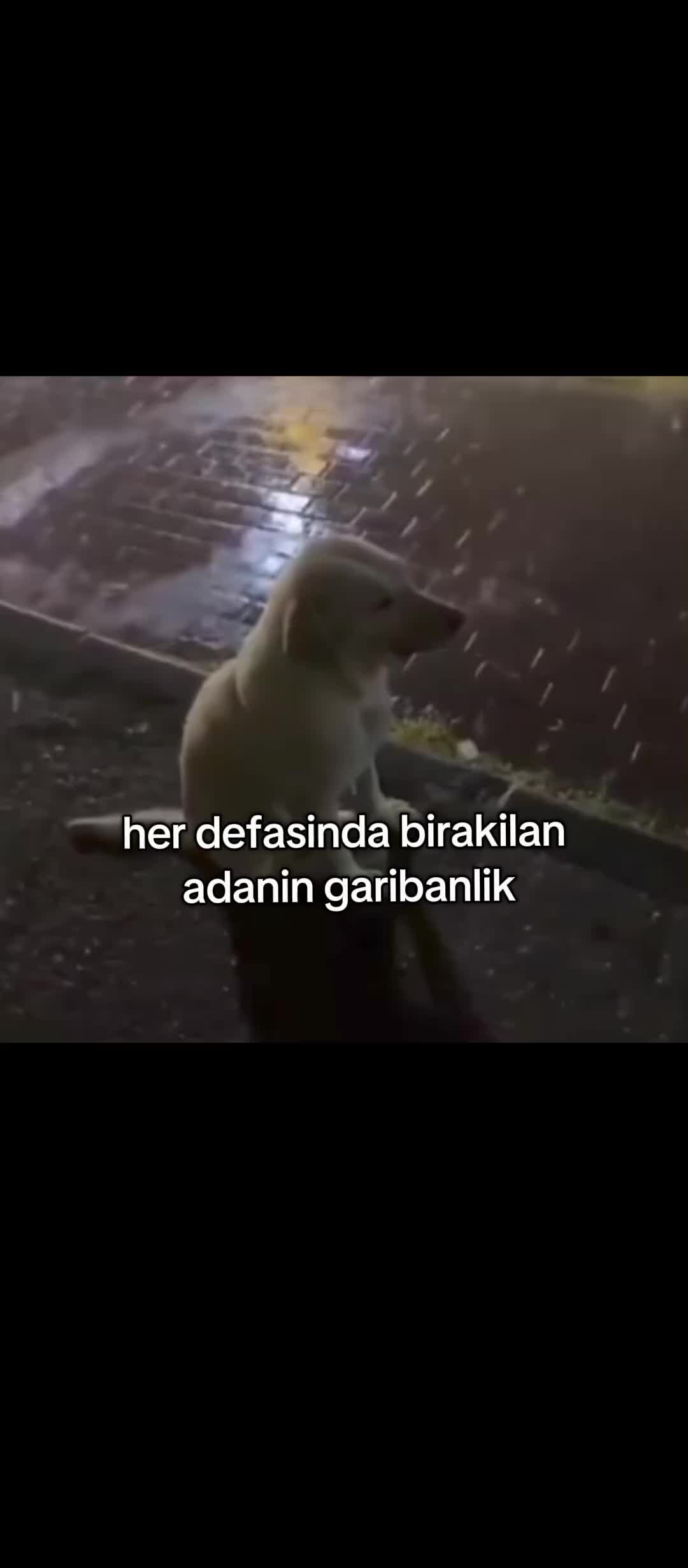 @ada★