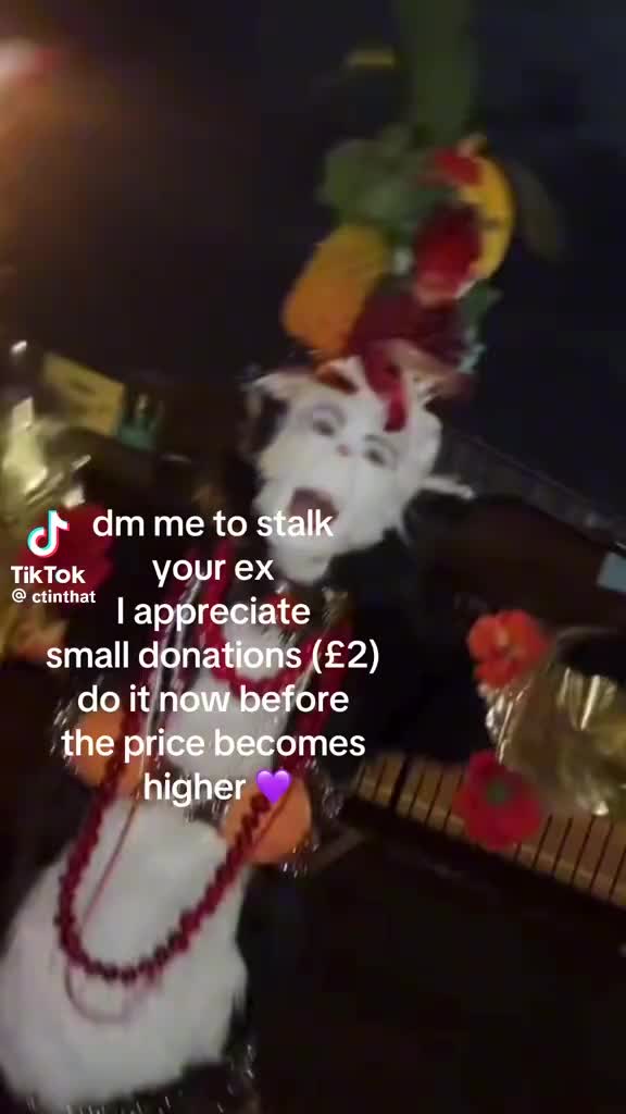 @cat in the hat