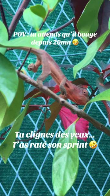 @🩶Karine…