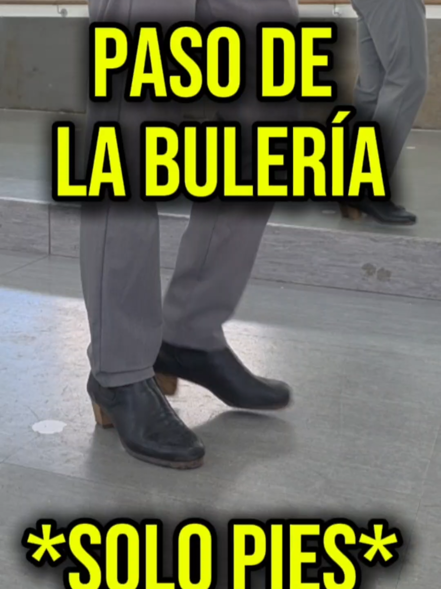 @Mario de los Santos Flamenco