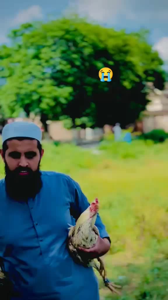 @ibrahim tanoli