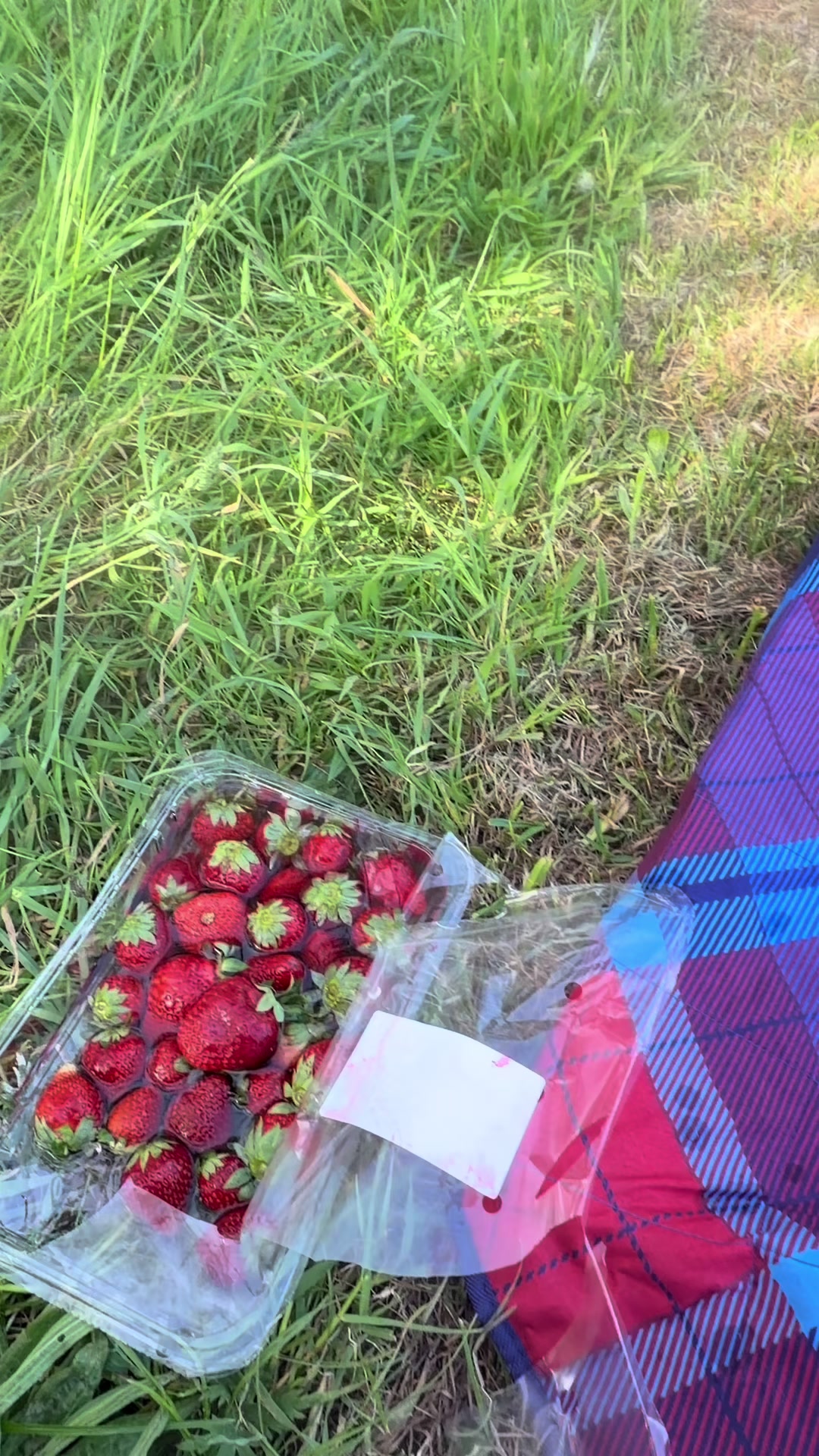 @ش 💚