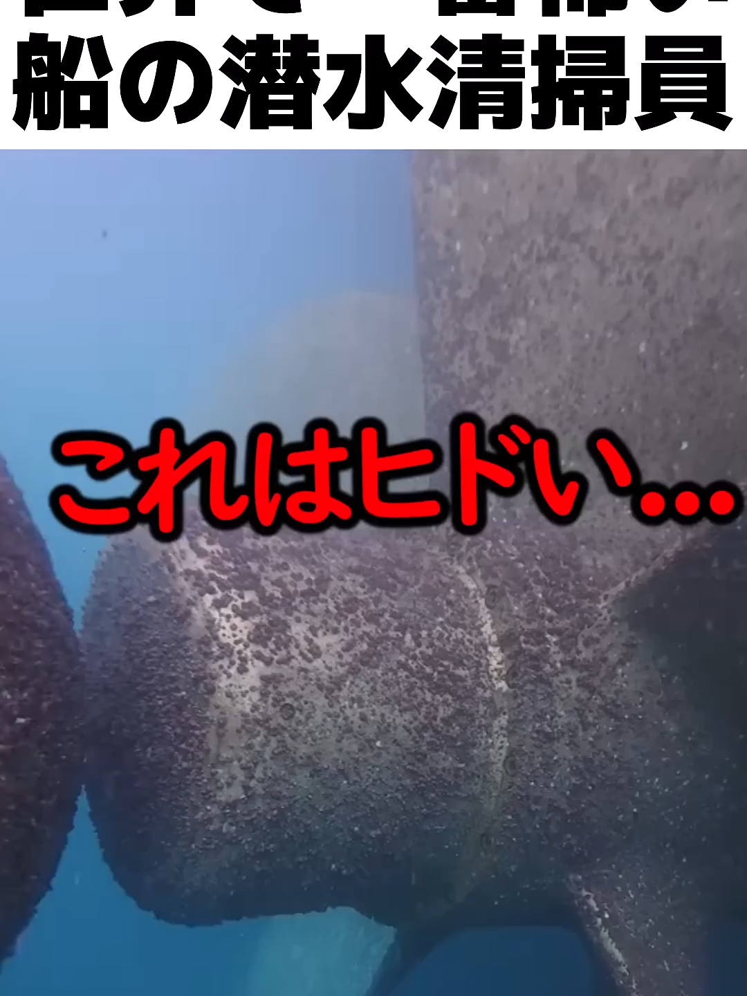 @user8139342285805