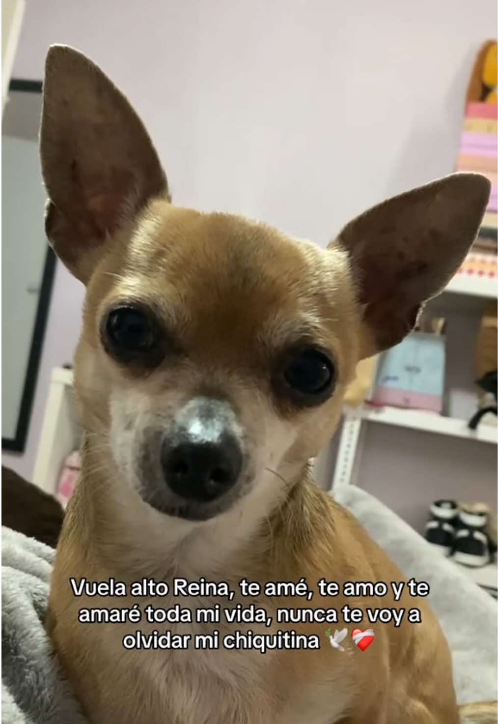 @S H E I L A 🧙🏻♀️🔮